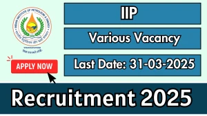 IIP Superintending Engineer, Assistant Registrar Recruitment 2025 - Apply Online for 03 Posts
