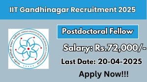 IIT Gandhinagar Job Vacancy 2025, Apply Offline for 02 IIT Gandhinagar Posts