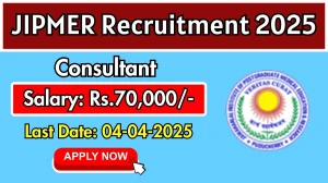 JIPMER Consultant Recruitment 2025 - Apply Offline for 2 Posts