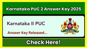 Karnataka PUC 2 Answer Key 2025 Released Check Karnataka PUC 2 Official Solution Key at kseab.karnataka.gov.in