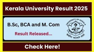 Kerala University Result 2025 OUT at exams.keralauniversity.ac.in - Download UG and PG Marksheet