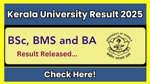 Kerala University Result 2025 Released at keralauniversity.ac.in Direct Link to Download 2nd, 4th and 5th Semester Result Kerala University Result 2025 Released at keralauniversity.ac.in Direct Link to Download 2nd, 4th and 5th Semester Result