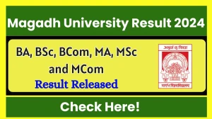 Magadh University Result 2024 Released at magadhuniversity.ac.in Direct Link to Download 1st, 2nd, 3rd and 4th Semester Result
