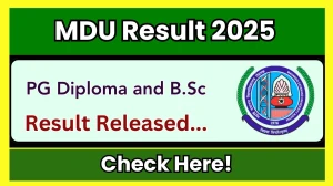 MDU Result 2025 Released at mdurtk.in Direct Link to Download 1st, 2nd, 3rd, 5th and 6th Semester Result