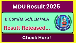 MDU Result 2025 Released at mdurtk.in Direct Link to Download 1st, 3rd, 4th, 5th, 6th Semester Result