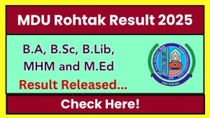 MDU Rohtak Result 2025 Released at mdu.ac.in Direct Link to Download 1st, 3rd and 4th Semester Result