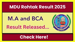 MDU Rohtak Result 2025 Released at mdurtk.in Direct Link to Download 3rd, 6th, 9th and 10th Sem Result