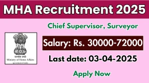 MHA Chief Supervisor, Surveyor Recruitment 2025 - Apply Offline for 06 Posts