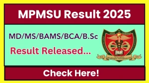 MPMSU Result 2025 Released at mpmsu.edu.in Direct Link to Download 1st Semester Result MPMSU Result 2025 Released at mpmsu.edu.in Direct Link to Download 1st Semester Result