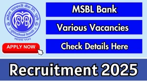 MSBL Bank Recruitment 2025 - Apply Online for Clerk, Officer and Other Posts