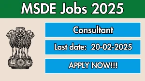 MSDE Consultant Recruitment 2025 - Apply Offline