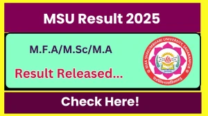 MSU Result 2025 Released at msuresults.com Direct Link to Download 1st, 3rd Semester Result
