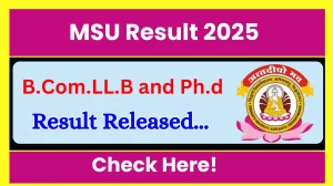 MSU Result 2025 Released at msuresults.com Direct Link to Download 1st and 3rd Sem Result