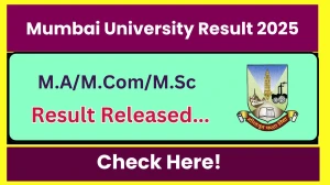 Mumbai University Result 2025 Released at mumresults.in Direct Link to Download 1st, 2nd, 3rd Semester Result Mumbai University Result 2025 Released at mumresults.in Direct Link to Download 1st, 2nd, 3rd Semester Result
