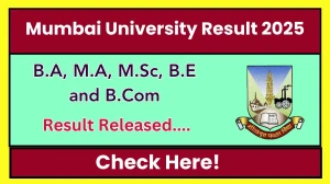 Mumbai University Result 2025 Released at mumresults.in Direct Link to Download 1st, 3rd, 5th and 9th Sem Result