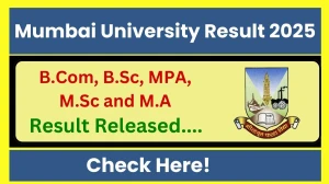 Mumbai University Result 2025 Released at mumresults.in Direct Link to Download 1st, 3rd and 5th Semester Result Mumbai University Result 2025 Released at mumresults.in Direct Link to Download 1st, 3rd and 5th Semester Result