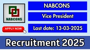 NABCONS Vice President Recruitment 2025 - Apply Online