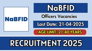 NaBFID Officers Recruitment 2025 - Apply Online NaBFID Officers Recruitment 2025 - Apply Online