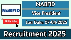 NABFID Vice President Recruitment 2025 - Apply Offline NABFID Vice President Recruitment 2025 - Apply Offline