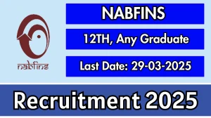 NABFINS CSO and CSE Recruitment 2025 - Apply Online