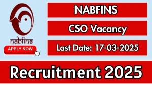 NABFINS CSO Recruitment 2025 - Apply Online