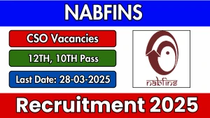 NABFINS CSO Recruitment 2025 - Apply Online