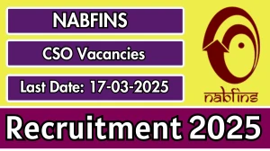 NABFINS CSO Recruitment 2025 - Apply Online