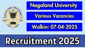 Nagaland University Driver Recruitment 2025 – Walk in for Interns, Project Attendant, Driver Posts