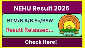 NEHU Result 2025 Released at nehu.ac.in Direct Link to Download 1st, 3rd, 5th, 7th Semester Result