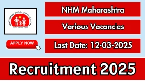 NHM Maharashtra Various Posts Recruitment 2025 - Apply Offline for 11 Posts