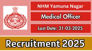 NHM Yamuna Nagar Medical Officer Recruitment 2025 - Apply Offline for 10 Posts