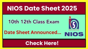 NIOS 10th, 12th Class Exam Date Sheet 2025 Out Check Date Sheet Here nios.ac.in NIOS 10th, 12th Class Exam Date Sheet 2025 Out Check Date Sheet Here nios.ac.in