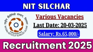NIT Silchar MO, System Engineer and Other Recruitment 2025 - Apply Offline
