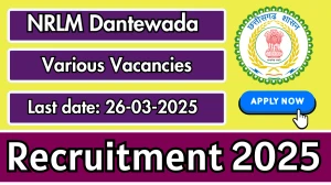NRLM Dantewada DEO, Accountant and Other Recruitment 2025 - Apply Offline for 14 Posts