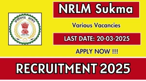 NRLM Sukma Various Posts Recruitment 2025 - Apply Offline