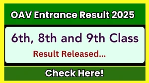 OAV Entrance Result 2025 Out at bseodisha.ac.in How to check Results Here