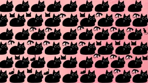 Observation Find it Out: Test Your Observation Skills to Find the Hidden Rat in 15 Secs