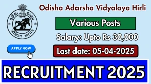 Odisha Adarsha Vidyalaya Hirli PGT, TGT Recruitment 2025 - Apply Offline