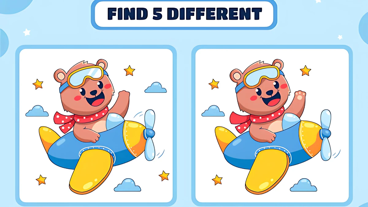 Optical Illusion 15 Seconds Challenge: Only Extra Sharp Eyes Can spot the 5 Differences in this Bear Image