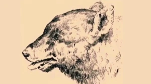 Optical Illusion Eye Test: Can You Spot the Bear’s Master in 15 Seconds?