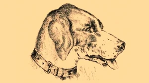 Optical Illusion Eye Test: Can You Spot the Dog's Master in 15 Seconds?