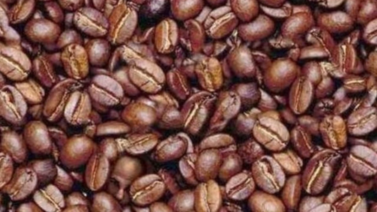 Optical Illusion Eye Test: Can You Spot The Hidden Man In The Coffee Beans in 12 Seconds?