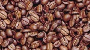 Optical Illusion Eye Test: Can You Spot The Hidden Man In The Coffee Beans in 12 Seconds? Optical Illusion Eye Test: Can You Spot The Hidden Man In The Coffee Beans in 12 Seconds?