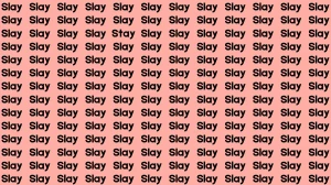Optical Illusion Eye Test:  If you have Eagle Eyes Find the Word Stay among Slay in 9 Secs