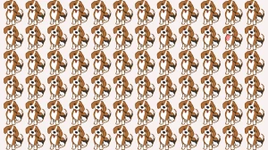 Optical illusion: Only a true dog lover can spot the odd dog in the picture in 7 seconds