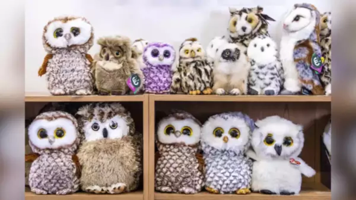 Optical Illusion: Only Sharp Eyes Can Spot the Real Owl Among Fake Owls in 6 Seconds