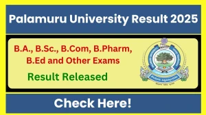 Palamuru University Result 2025 Released at palamuruuniversity.com Direct Link to Download Odd Sem Result Palamuru University Result 2025 Released at palamuruuniversity.com Direct Link to Download Odd Sem Result