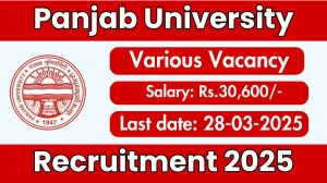 Panjab University Senior Project Assistant Recruitment 2025 - Apply Offline for 1 Posts