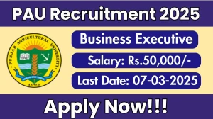 PAU Business Executive Recruitment 2025 - Apply Offline