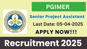 PGIMER Senior Project Assistant Recruitment 2025 - Apply Online PGIMER Senior Project Assistant Recruitment 2025 - Apply Online